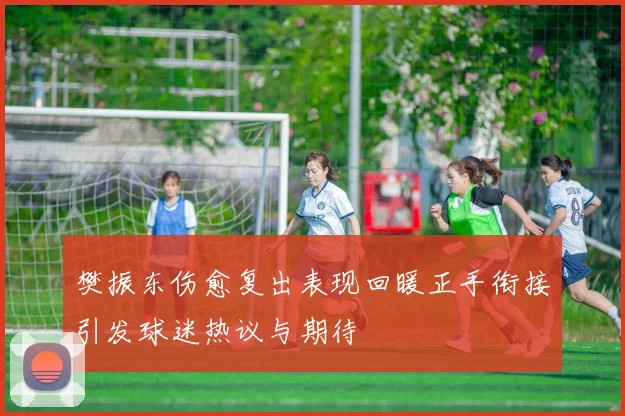 樊振东伤愈复出表现回暖正手衔接引发球迷热议与期待