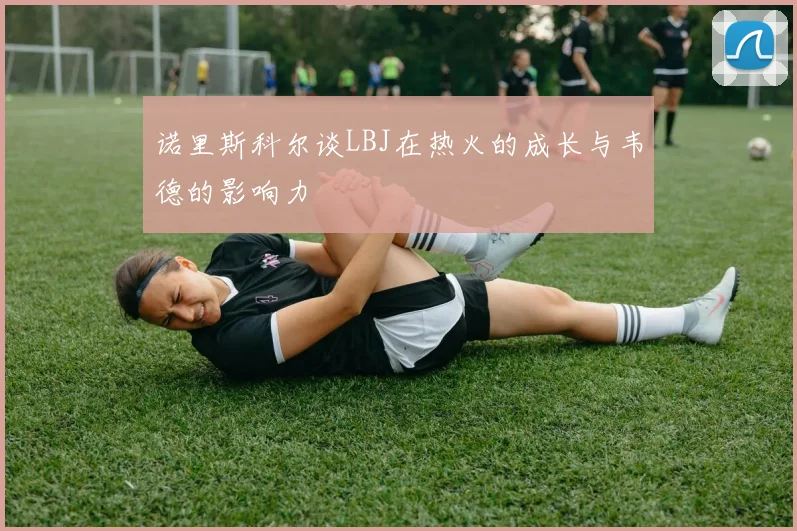诺里斯科尔谈LBJ在热火的成长与韦德的影响力